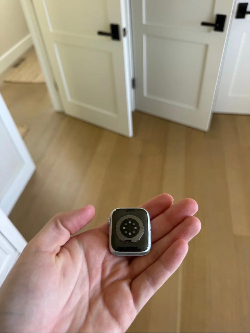 Apple Watch Series 6, 40mm, silver + Accessories